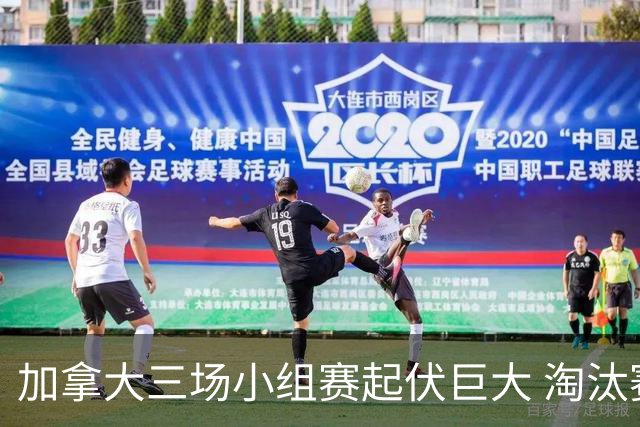 加拿大三场小组赛起伏巨大 淘汰赛若对战韩国不轻松