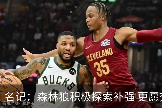 名记：森林狼积极探索补强 更愿交易兰德尔而非麦丹&里德&戈贝尔