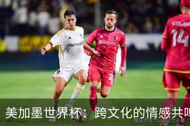 美加墨世界杯：跨文化的情感共鸣